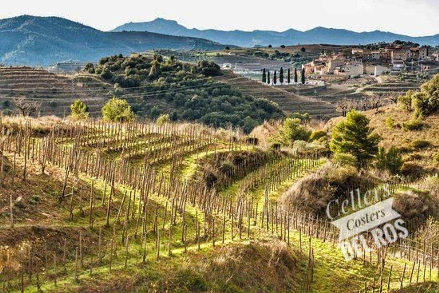 Ca Laixut Turismo Rural Gratallops Dış mekan fotoğraf